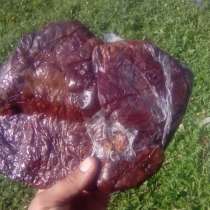 Смолка Сибирская жевательная, в Москве