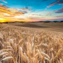 Продам 3 га сельхоз земли Комрат, в г.Комрат