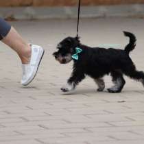 Ищем лучшие ручки, в г.Ришон-ле-Цион