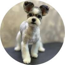 ГРУМЕР СТРИЖКА СОБАК И КОШЕК, в Москве