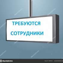 Требуются торговые представители на кондитерские изделия, в г.Бишкек