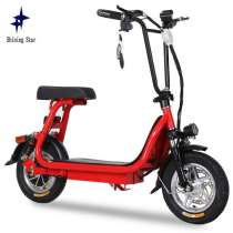 Shining Star 450w / 48v Mini City Folding Electric bicycle, в Москве