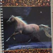 Тетрадь с Лошадью, в Тюмени