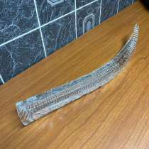 Рог хрустальный СССР, в Саратове