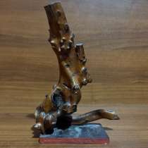 Коряга, в Сочи