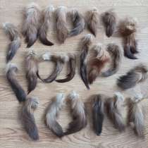 Хвосты куницы, в Перми