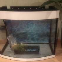 Аквариум, в Москве