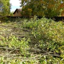 Сезонные работы на Вашем участке, в Рузе