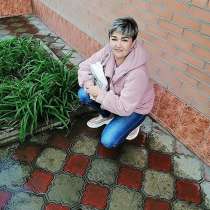 Автострахование, в Сальске