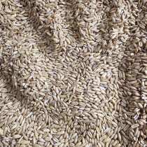 Крупа овсяная недробленая в мешках, в Великом Новгороде