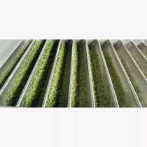 Станок для скучивания чайного листа хорошое качество, в г.Чэнду