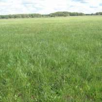 Участок, 620 сот., сельхоз, в Екатеринбурге