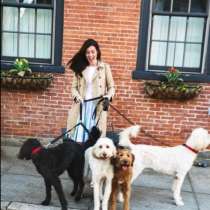 Выгул собак, в Уфе