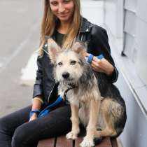 Невероятная лапочка и маленькая колючая звездочка, в Санкт-Петербурге