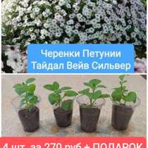 Черенки Тайдал, в Челябинске