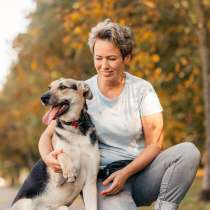 Собака-олененок Одри ждет свою семью!, в Москве