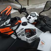 Квадроциклы в Молдове с бесплатной доставкой, в г.Кишинёв