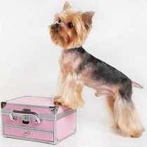 Стрижка собак в Орше с возможным выездом на дом клиента, в г.Орша