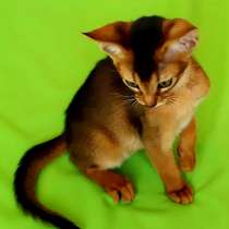 ABY, в г.Шанхай