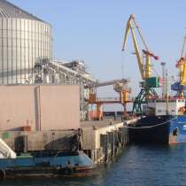 Кукуруза, ячмень экспорт в Саудовская Аравия, в Москве