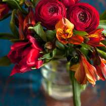 Индивидуальные фотосессии, в Санкт-Петербурге