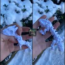 3д печать, в Калининграде