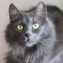 Шикарная Марси, в г.Минск