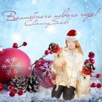 Shiba Inu, в Москве