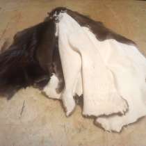 Выделка шкур бобра, лисы, енота, выдры волка, в г.Минск