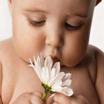 Якою має бути сурогатна мама, в г.Киев