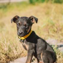 Тоя, в Москве