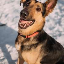 Ищем Графу любимую семью, в Москве