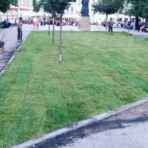 Благоустройство земельных участков и скос травы, в Москве