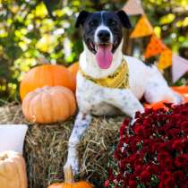 Тони ищет дом, в г.Хельсинки