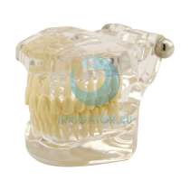 Демонстрационная модель Anya TM-101 Норма, прозрачная, в Москве