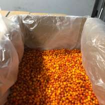 Продам облепиху, в Томске