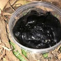 Мумие Алтайское очищенное, в Москве