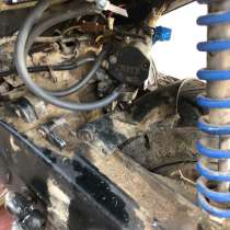 Сузуки сипия, в Камень-Рыболове