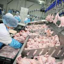 Uzina de prelucrare carne și produse semifabricate, в г.Кишинёв