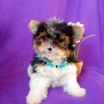 Мини мальчик, в Москве