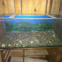 Аквариум на 450 литров, в Перми