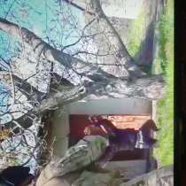 Вася, 41 год, хочет познакомиться – Я тут, в Ижевске