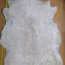 Шкуры овчина, коза, Яка, в Брянске