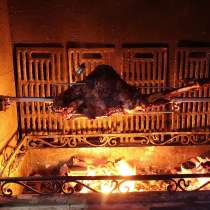 Если у Вас есть кирпичное барбекю, то Вам к нам, в Москве