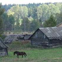 Помощник по хозяйству на лошадиную ферму(г. Шелково), в Щелково