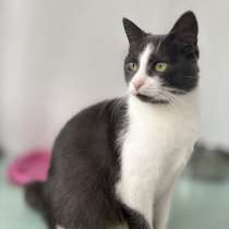 Очаровательная Ливи, в г.Минск