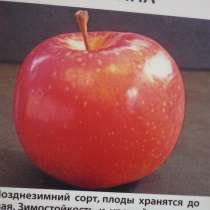 Саженцы плодовых деревьев, в Ростове-на-Дону