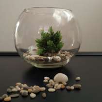 Аквариум 3 л. Для рыбки петушка, в Пушкино