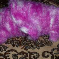 Вяжу на заказ одежду для собачек, в Вологде