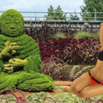 Благоустройство земельных участков : ваши мечты – наше испо, в Санкт-Петербурге